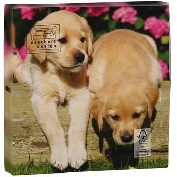 Kölyök Labrador mintás szalvéta 20 db-os