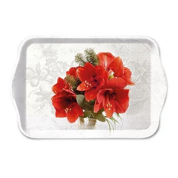 Műanyag tálca mikulásvirággal 13 x 21 cm