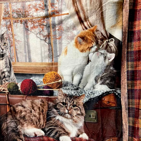 Olasz puha  pléd cicák gombolyagokkal 130 x 160 cm